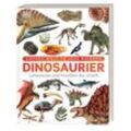 DK Verlag Unsere Welt in 1000 Bildern. Dinosaurier