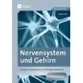 Auer Verlag Nervensystem und Gehirn