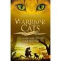 beltz verlag Warrior Cats - Special Adventure. Eichhornschweifs Hoffnung