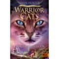 beltz verlag Warrior Cats - Das gebrochene Gesetz. Eisiges Schweigen