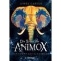 Oetinger Die Erben der Animox 3. Der Kampf des Elefanten