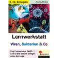 KOHL Verlag Lernwerkstatt Viren, Bakterien und Co