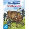 Oetinger Astrid Lindgrens Erzählungen