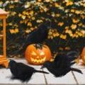 Fragrant 3 Stück Halloween-Krähen, Vögel, Schwarze Federn Und Raben-Dekor