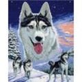 Fiyo Diamant Stickerei Wolf Kreuzstich Kit 5d Diy Voller Quadratischer Diamant Malerei Tier Landschaft Mosaik Handarbeiten Handwerk Wandkunst