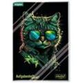 Häfft® Verlag Hausaufgabenheft Schulstuff Cool Cat liniert A5 ohne Rand, 96 Blatt