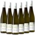 Grüner Veltliner QUW NÖ "Aus Liebe zur Natur" Müller trocken - 6er Karton