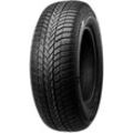 Winterreifen BRIDGESTONE "LM-005", schwarz, 285mm / 40 % R 21 109V, Autoreifen, in verschiedenen Ausführungen erhältlich