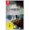 Dungeon of Endless Collectors Switch