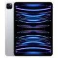 iPad Pro 11 (2022) 4. Generation 2000 GB - WLAN - Silber