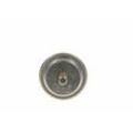 BOSCH Druckspeicher, Kraftstoffdruck Ø73mm 73mm für FERRARI FIAT MERCEDES-BENZ ROLLS-ROYCE LANCIA 82427209 129037 0004760921 0 438 170 055