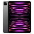 iPad Pro 11 (2022) 4. Generation 256 GB - WLAN - Space Grau