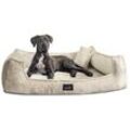 Tierlando ® Orthopädisches Hundebett FRANKLIN Kuscheliger Teddy-Stoff - Hundesofa creme 1,6 m, 25 cm, 1,1 m