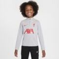 FC Liverpool Academy Pro Third Nike Dri-FIT Fußball-Drill-Oberteil für jüngere Kinder - Grau