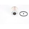 BOSCH Kraftstofffilter RENAULT,NISSAN F 026 402 222 4406891,95515502,164009963R Leitungsfilter,Spritfilter 164039587R,1640500Q0C