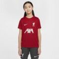 FC Liverpool Academy Pro Nike Dri-FIT Fußball-Kurzarmshirt (ältere Kinder) - Rot