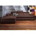 Ecksofa EXXPO - SOFA FASHION "Salerno, klassisch modernes Funktionssofa, hoher Sitzkomfort, L-Form", braun (dunkelbraun), B:280cm H:77cm T:170cm, Microfaser-Primabelle (100% Polyester), NaturLEDER, Kunstleder, Lederfaserstoff, Luxus-Microfaser Lederoptik, Sofas, inkl. Kopf- und Armteilverstellung, wahlweise mit Bettfunktion