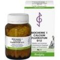 Biochemie 1 Calcium fluoratum D 12 Table 500 St