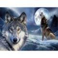 Fiyo Wolf Diy 5d Diamant Malerei Voller Runder Bohrer Cartoon Tier Diamant Stickerei Kreuzstich Mosaik Strass Home Decor Geschenk