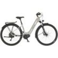 E-Bike FISCHER FAHRRAD "TERRA 4.0i 43" E-Bikes Gr. 43 cm, 29 Zoll (73,66 cm), grau Pedelec, Elektrofahrrad für Damen u. Herren, ATP