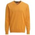 Herren Strickpullover mit V-Ausschnitt