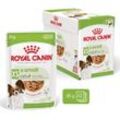 Royal Canin SHN X-Small Adult Gravy 12x85g