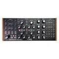 Moog Subharmonicon