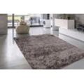 Hochflor-Teppich CALO-DELUXE "Masada 900", beige (champagner), B:240cm H:40mm L:330cm, Kunstfaser, Teppiche, Wohnzimmer