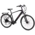 Tretwerk Bronx 5.0 E Bike 28 Zoll Pedelec 165 - 190 cm Trekkingrad 24 Gänge Elektrofahrrad