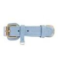 William Walker Hundehalsband Plain Sky XXL