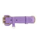 William Walker Hundehalsband Plain Lavender XS