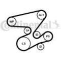 CONTINENTAL CTAM Keilrippenriemensatz für BMW 6PK2080K1