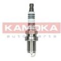 KAMOKA Zündkerze für CADILLAC DAEWOO GENERAL MOTORS PONTIAC BUICK CHEVROLET OPEL 1214066 55576026 7100007