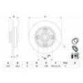 BOSCH Bremsscheibe hinten rechts links voll 244mm für PEUGEOT CITROËN VAUXHALL OPEL 1623835180 0 986 479 F74