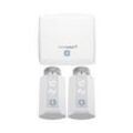 Homematic IP Access Point + Heizkörperthermostat Evo 2er-Set