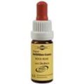 Bachblüten Murnauer Rock Rose Tropfen 20 ml