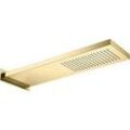 Herzbach LIVING SPA Wand-Regenbrause 30.661700.1.03 537x165mm PVD Gold