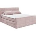 Boxspringbett ED EXCITING DESIGN "Bolivia" Komplettbetten Gr. Cord, Liegefläche B/L: 180cm x 200cm, Gewicht bis: 120 kg H3/H4, 7-Zonen-Tonnentaschen-Federkernmatratze, rosa Boxspringbett harte Seite mit Kokosmatte, weiche Filzabdeckung