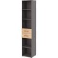 Home Office Kombiregal TEMPIO, aus Holz, 2 Einschübe, 6 OH, B 400 x T 330 x H 2130 mm, anthrazit/ Hickory Eiche