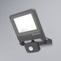 LEDVANCE Endura Floodlight Sensor-LED-Strahler 30W