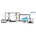 Zoom Meetings Business - Lizenz 1 Jahr (mind. 10 Stück) User Staffel: 250-499