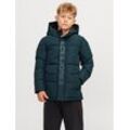 Steppjacke JACK & JONES JUNIOR "JCOSPEED PUFFER SN JNR" Gr. 128, grün (magical forest) Jungen Jacken