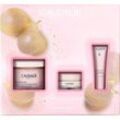 Caudalie Collection Resveratrol-Lift Kaschmir Creme Set - Xmas 2024 Hautverdichtende Kaschmir Creme 50ml + Kräuter-Nachtcreme 15ml + Lifting Augenpflege 5ml +