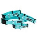 Paikka Glow Collar aqua 14 cm, 1,5 cm