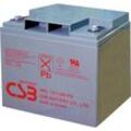 CSB Battery HRL 12110W high-rate longlife HRL12110W-FR Bleiakku 12 V 28 Ah Blei-Vlies (AGM) (B x H x T) 166 x 175 x 125 mm M5-Schraubanschluss Wartungsfrei,