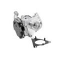 BorgWarner (Wahler) AGR-Ventil mit Dichtung für SKODA VW SEAT AUDI 04L131501AD 04L131501R 4L131501E 72147559D