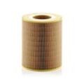 MANN-FILTER Luftfilter 124mm für MERCEDES-BENZ A1660940004 1660940004 C 1381