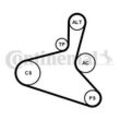 CONTINENTAL CTAM Keilrippenriemensatz für VW Ford Seat Audi Skoda 6DPK1195K2