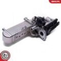 ESEN SKV AGR-Ventil 12V für RENAULT SUZUKI 147101993R 8200962607 1811167JG2 14SKV241