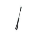 FOLIATEC FACT-Antenne (schwarz) Antenne schwarz 34694